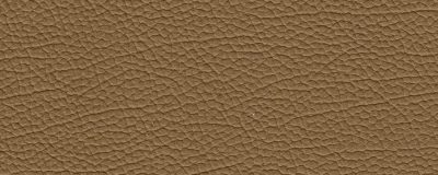 furniture-8302