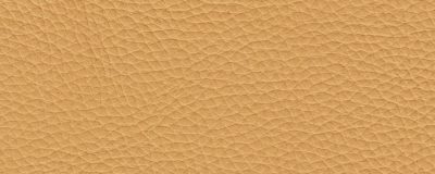 furniture-8214