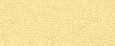 furniture-8296