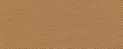 furniture-8296