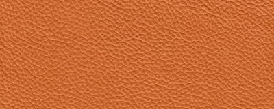 furniture-8296