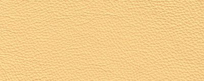 furniture-8296