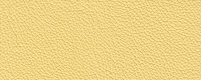 furniture-8296