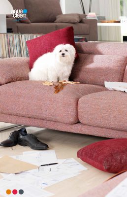 furniture-8958